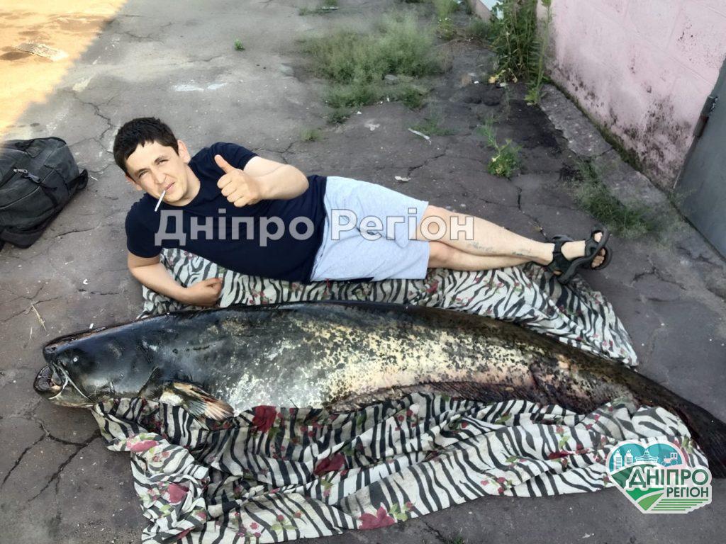 У Дніпрі чоловік піймав гігантського сома довжиною понад 2 метри (ФОТО, ВІДЕО) У Дніпрі чоловік піймав гігантського сома довжиною понад 2 метри (ФОТО, ВІДЕО)