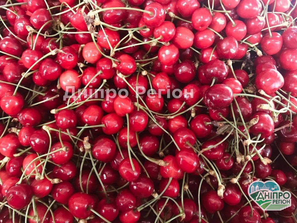 Де у Дніпрі вигідніше купувати черешню: у супермаркеті чи на базарі (ФОТО) Де у Дніпрі вигідніше купувати черешню: у супермаркеті чи на базарі (ФОТО)