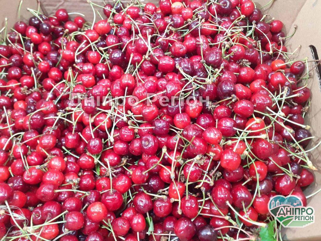 У Дніпрі обвалилась ціна на черешню, скільки коштує в супермаркеті (ФОТО)