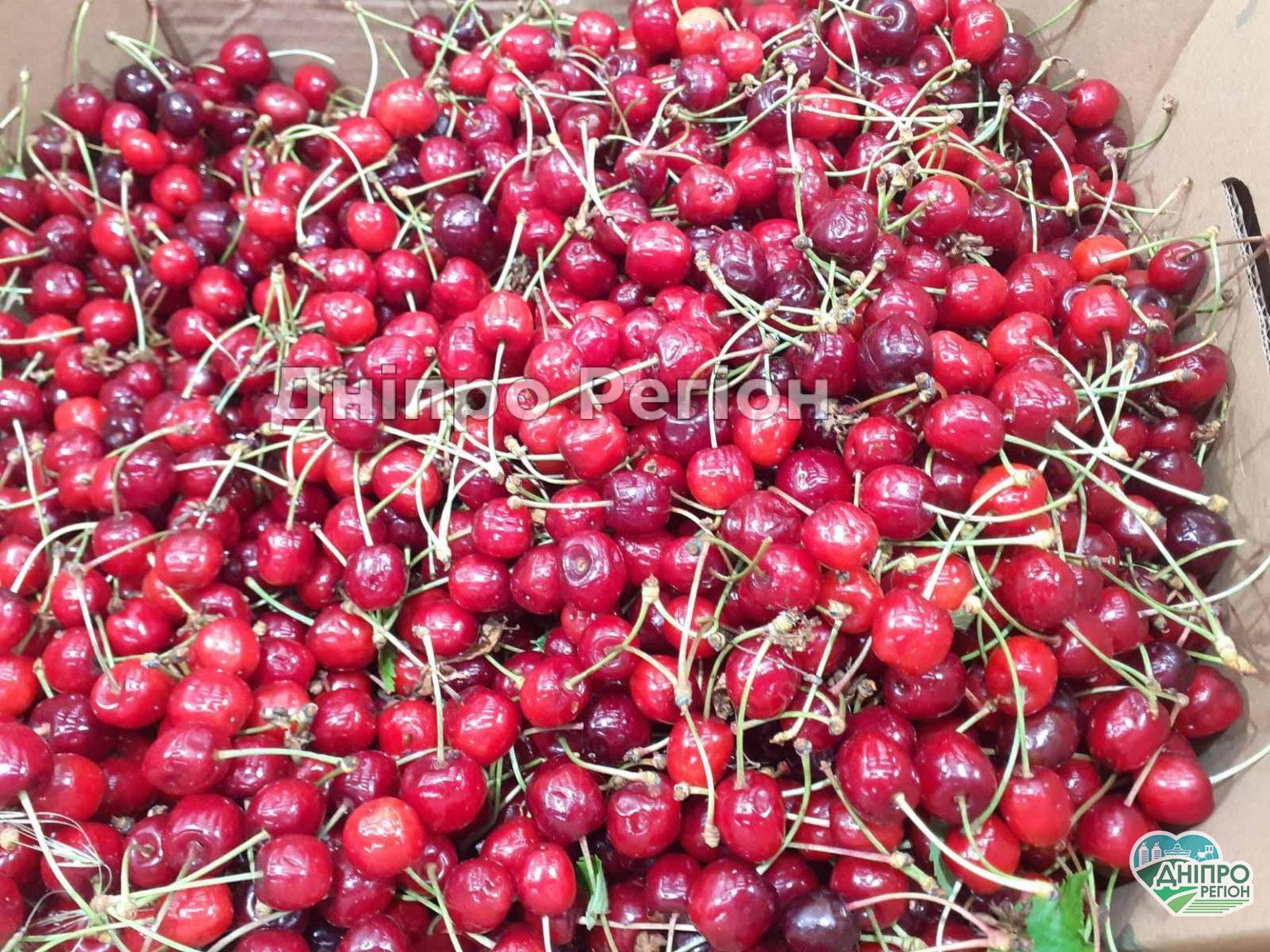 У Дніпрі обвалилась ціна на черешню, скільки коштує в супермаркеті (ФОТО)