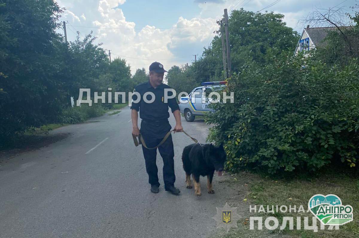 У Новомосковському районі поліцейський пес впродовж години розшукав зниклу 10-річну дівчинку