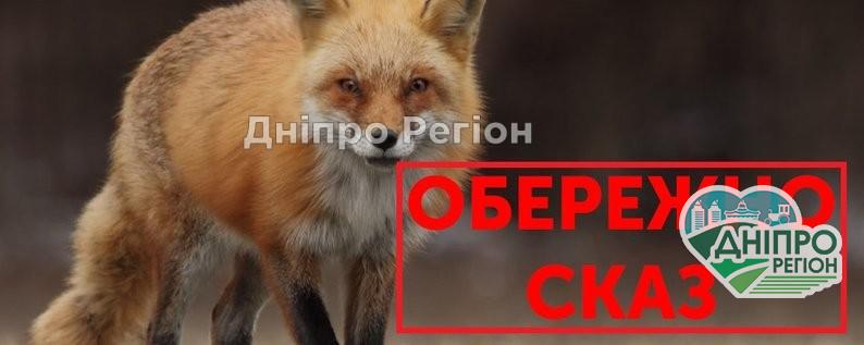 На Дніпропетровщині виявили перший випадок сказу у тварини У Дніпропетровській области опублікували список неблагополучних населених пунктів: ситуація на початок жовтня
