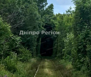 Диво дивне: на Дніпропетровщині тунель кохання манить романтиків і закоханих (ФОТО)