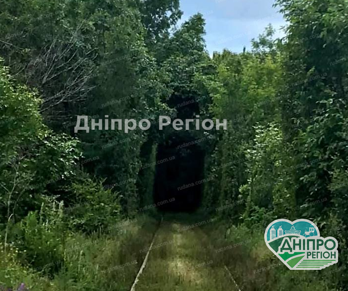 Диво дивне: на Дніпропетровщині тунель кохання манить романтиків і закоханих (ФОТО) Диво дивне: на Дніпропетровщині тунель кохання манить романтиків і закоханих (ФОТО)