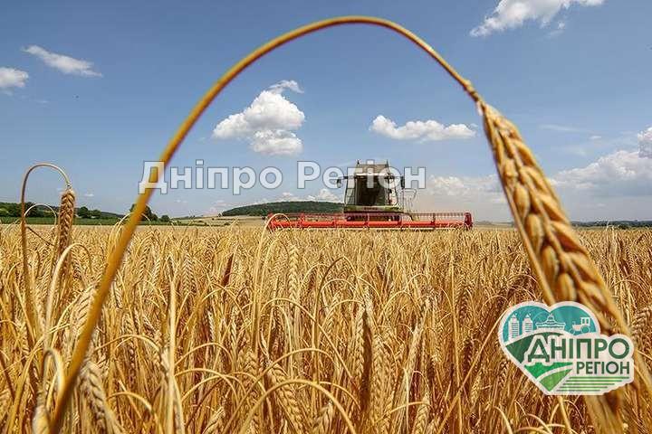 На Дніпропетровщині аграрії зібрали рекордний урожай зерна Ворог обстріляв Криворізький район: горить поле з озиминою