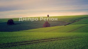 Відкриття ринку землі: які ділянки не можна буде продавати і купувати