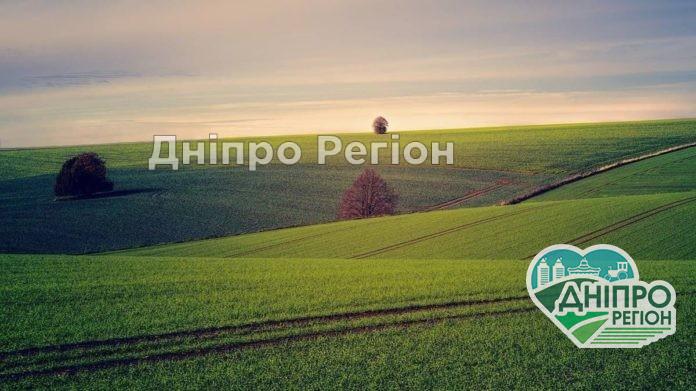 Відкриття ринку землі: які ділянки не можна буде продавати і купувати Відкриття ринку землі: які ділянки не можна буде продавати і купувати