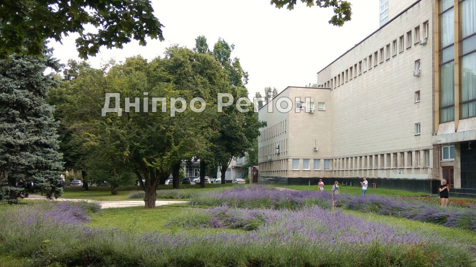 В центрі Дніпра розцвів Лавандовий сквер (ФОТО) В центрі Дніпра розцвів Лавандовий сквер (ФОТО)