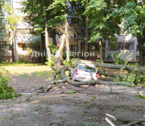 Скільки ще будемо терпіти? У Дніпрі на припарковане авто впало дерево (ФОТО)