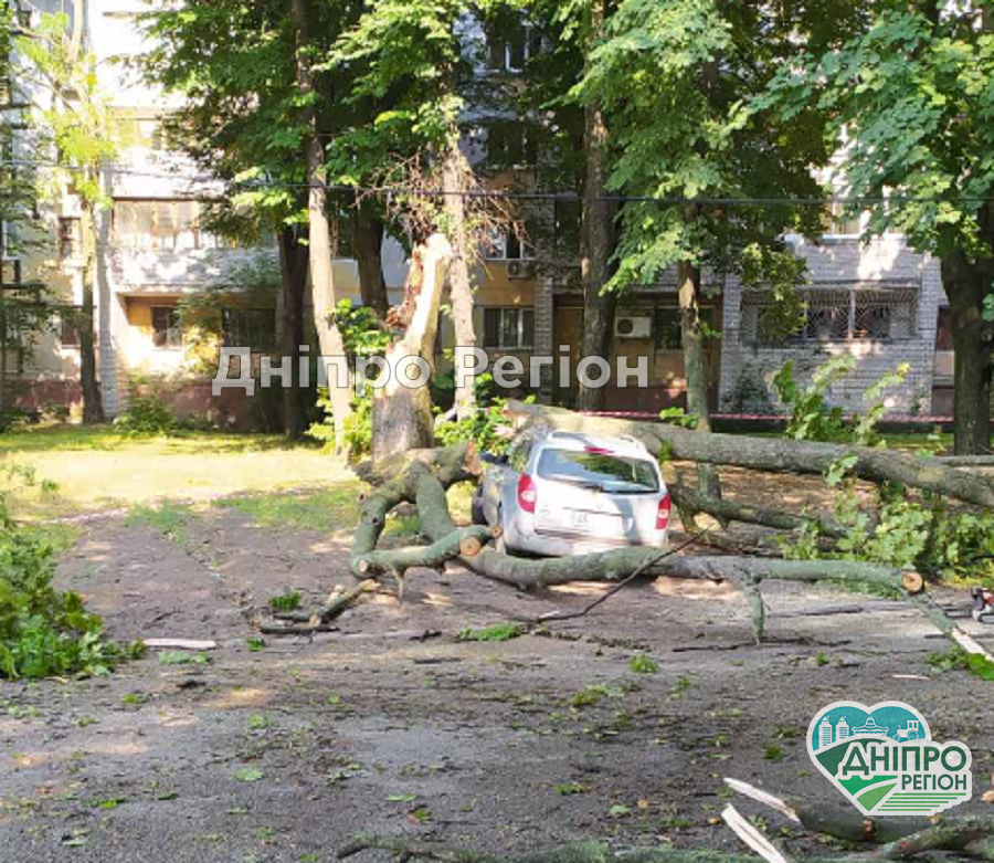 Скільки ще будемо терпіти? У Дніпрі на припарковане авто впало дерево (ФОТО) Скільки ще будемо терпіти? У Дніпрі на припарковане авто впало дерево (ФОТО)