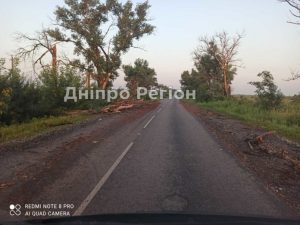 У Павлоградському районі на трасі дерева вирвало з корінням (ФОТО/ВІДЕО)