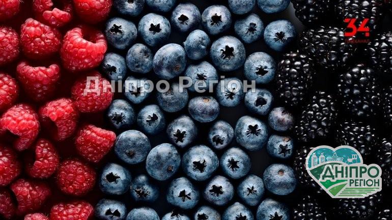 У Дніпрі в розпалі ягідний сезон: скільки коштують плоди і чим вони корисні У Дніпрі в розпалі ягідний сезон: скільки коштують плоди і чим вони корисні