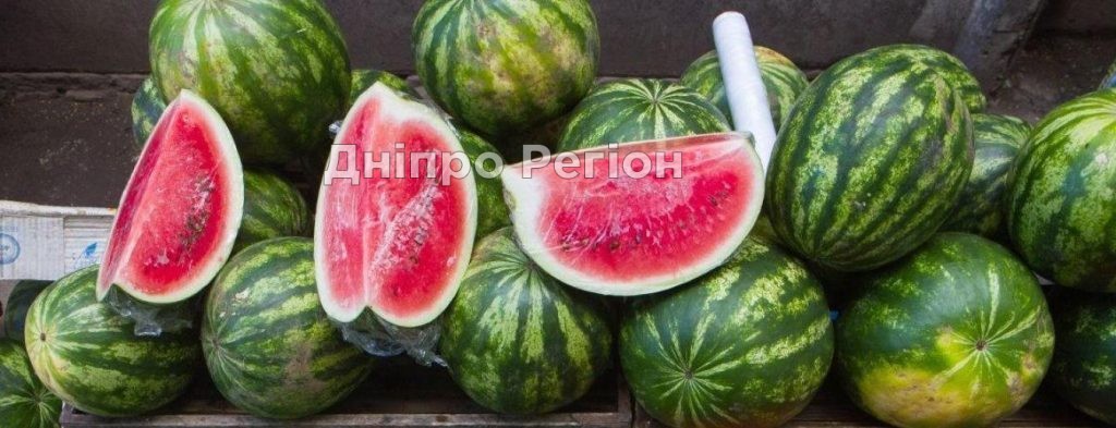 На Дніпропетровщині аграрії очікують кавуновий бум Ціна на кавуни в Дніпрі та області: лайфхаки при виборі ягоди