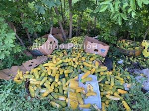 На трасі під Дніпром в кювет викинули десятки кілограмів огірків (ФОТО)