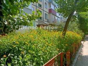 У Дніпрі на Г. Корольової розквіт цілий килим жовтих квітів (ФОТО)