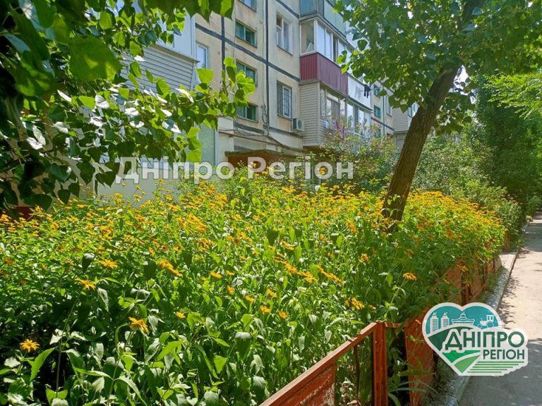 У Дніпрі на Г. Корольової розквіт цілий килим жовтих квітів (ФОТО)