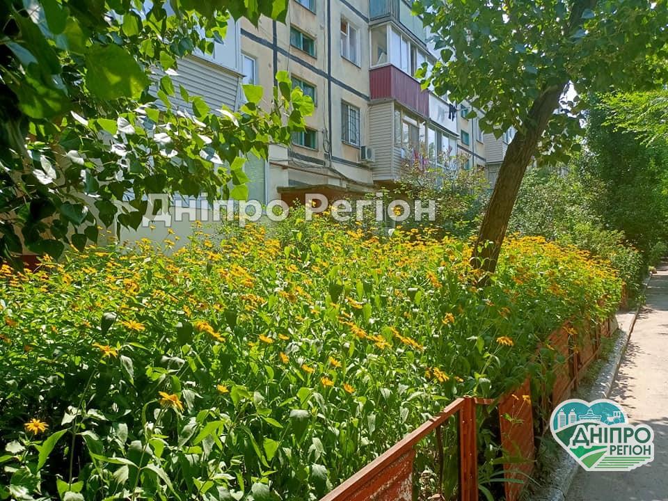 У Дніпрі на Г. Корольової розквіт цілий килим жовтих квітів (ФОТО) У Дніпрі на Г. Корольової розквіт цілий килим жовтих квітів (ФОТО)