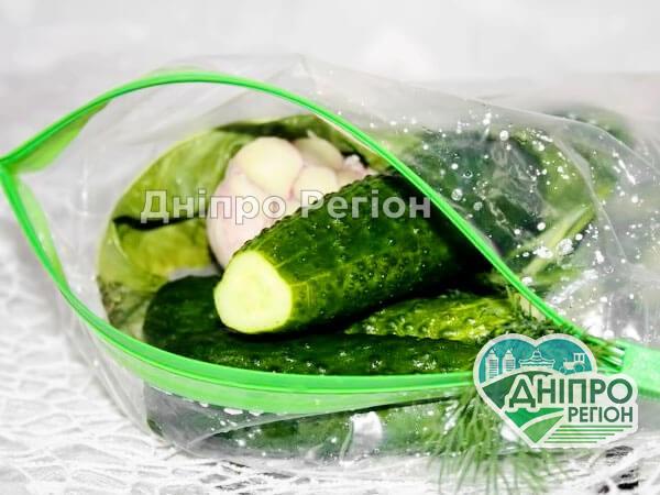 Огірки малосольні по-швидкому в пакеті: всього за 1 годину Огірки малосольні по-швидкому в пакеті