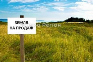 Дніпрянам розповіли, як правильно підготувати земельні ділянки для продажу