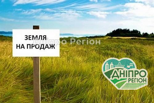 Дніпрянам розповіли, як правильно підготувати земельні ділянки для продажу