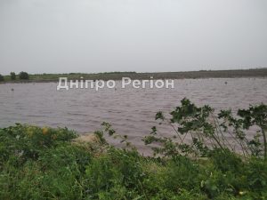 Загинуло все: на Дніпропетровщині поля пшениці потонули у воді (Фото)