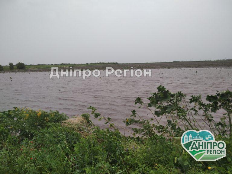 Загинуло все: на Дніпропетровщині поля пшениці потонули у воді (Фото)