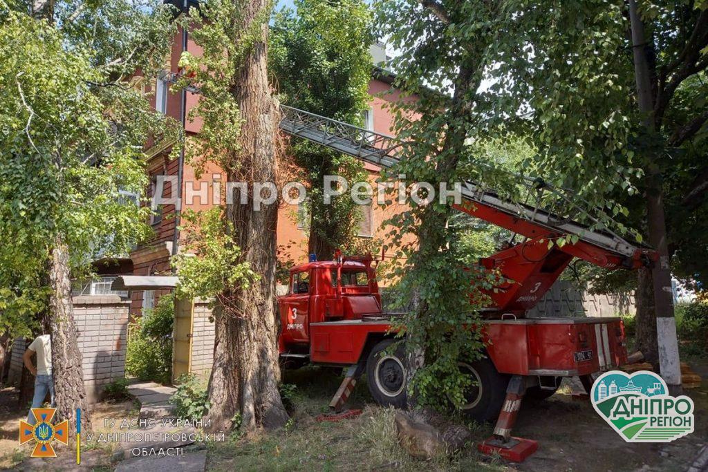У Дніпрі рятувальники залучили спецтехніку, щоб визволити багатоповерхівку від рою диких бджол (ФОТО)