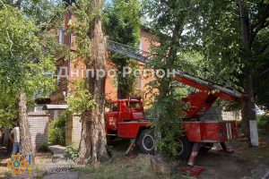 У Дніпрі рятувальники визволили багатоповерхівку від рою диких бджол (ФОТО)