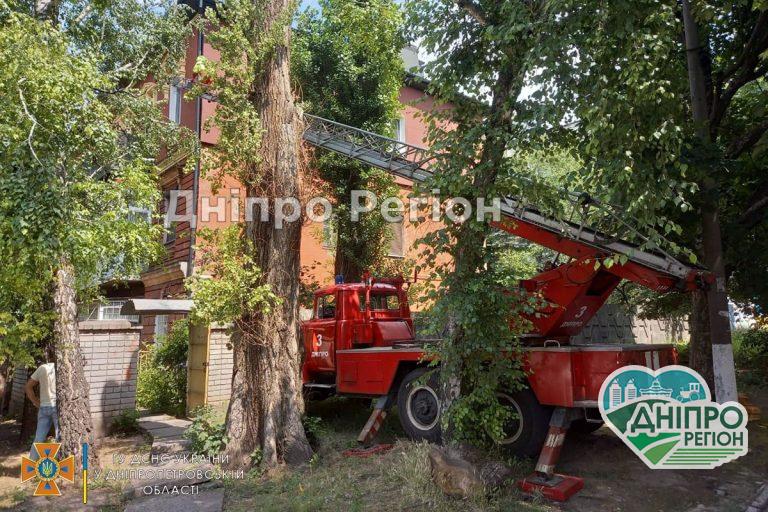 У Дніпрі рятувальники залучили спецтехніку, щоб визволити багатоповерхівку від рою диких бджол (ФОТО)