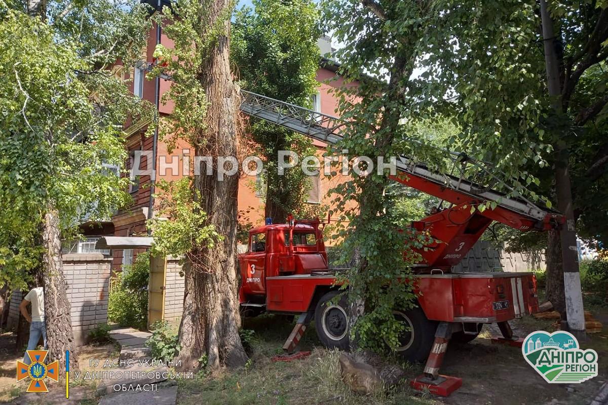 У Дніпрі рятувальники залучили спецтехніку, щоб визволити багатоповерхівку від рою диких бджол (ФОТО)