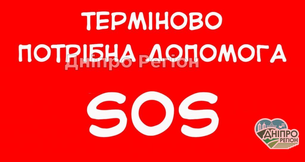 Жінка із Дніпра потонула на очах у двох маленьких синів у Блакитному озері