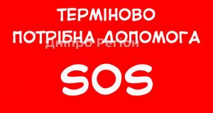 Жінка із Дніпра потонула на очах у двох маленьких синів у Блакитному озері