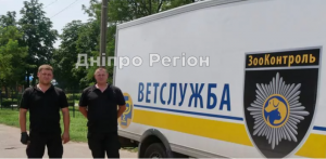 В Покрові працює ветклініка на колесах для бродячих собак (фото)