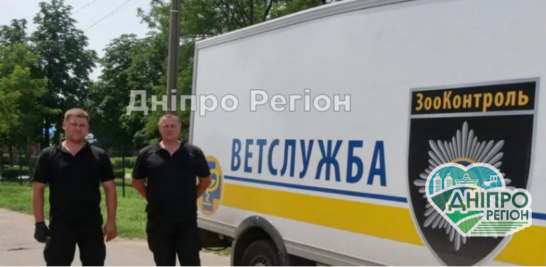 В Покрові працює ветклініка на колесах для бродячих собак (фото)
