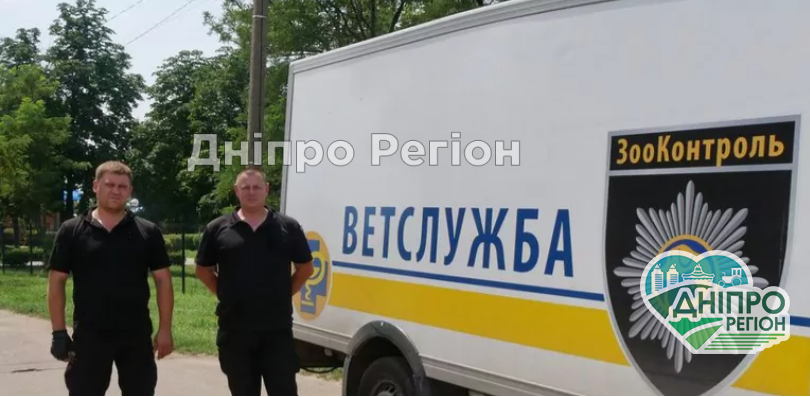 В Покрові працює ветклініка на колесах для бродячих собак (фото)