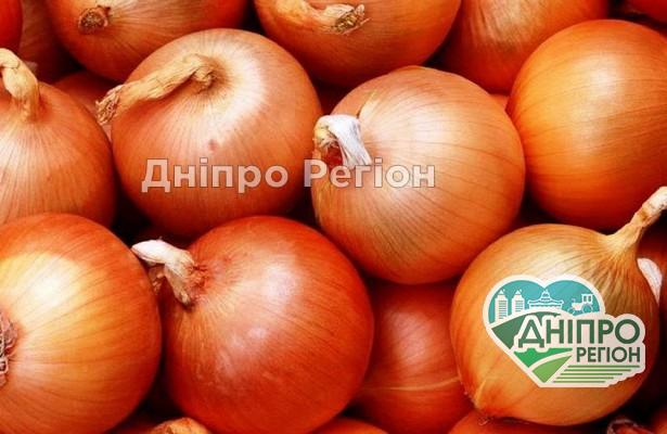 Чому у Дніпрі різко подорожчала цибуля