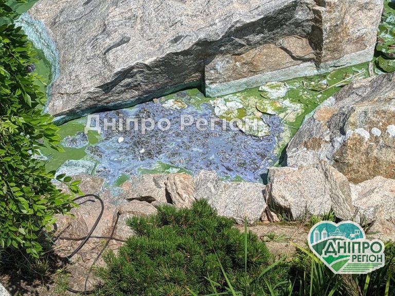 У Дніпрі в яхт-клубі Січ містяни скаржаться, що смердить вода (ФОТО)