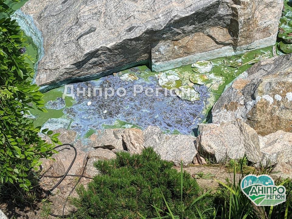 Сморід на воді: у Дніпрі в яхт-клубі Січ відбулись неприємні зміни (ФОТО) У Дніпрі в яхт-клубі Січ містяни скаржаться, що смердить вода (ФОТО)