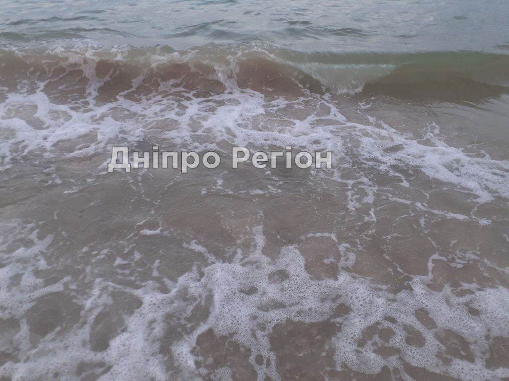 Медузи в Кирилівці: фейк чи реальність? Медузи в Кирилівці: фейк чи реальність?