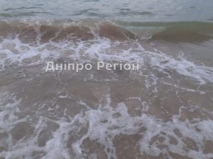 Медузи в Кирилівці: фейк чи реальність?
