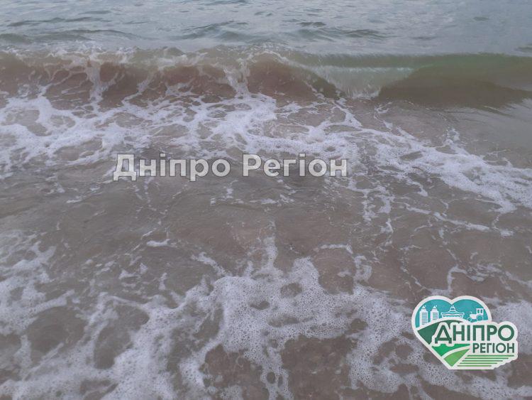 Медузи в Кирилівці: фейк чи реальність?