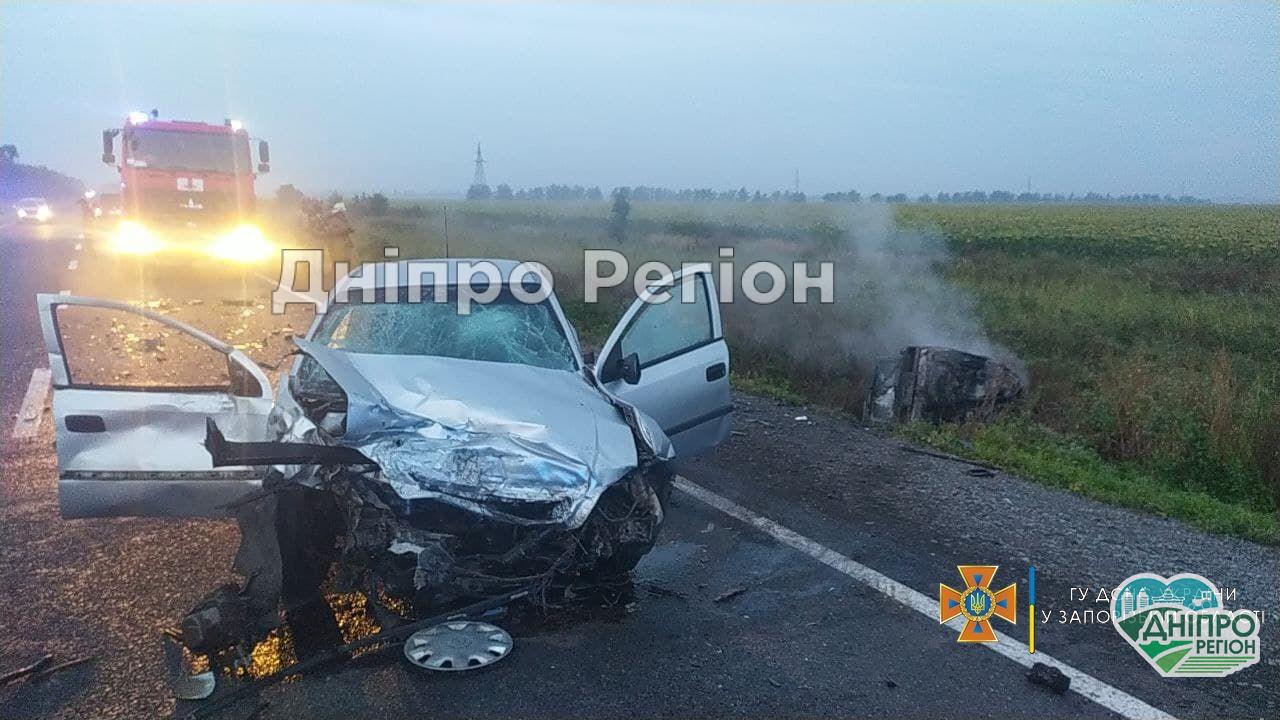 Под Днепром на трассе живьем сгорели двое взрослых и трое детей (фото, видео)