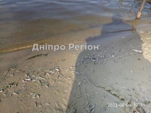 Чому у Дніпрі на дитячий пляж дітей краще не водити (ФОТО)