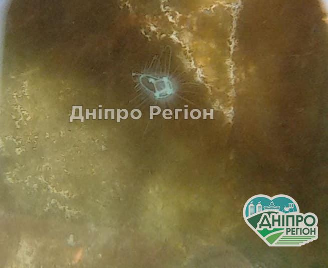 У Дніпрі в кар’єрі в селі Старі Кодаки побачили медуз (ФОТО) У Дніпрі в селі Старі Кодаки у воді побачили медуз (ФОТО)