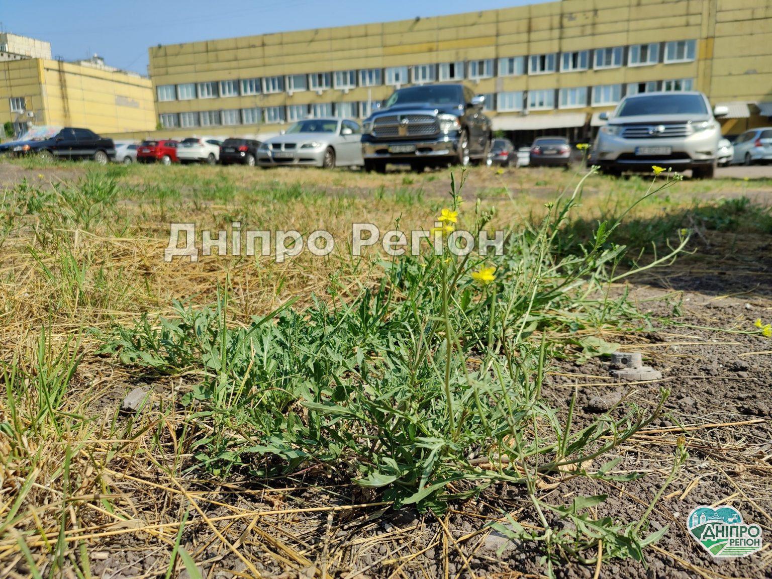 У Дніпрі в дворі 4 лікарні знаходиться справжня екопарковка (ФОТО) У Дніпрі в дворі 4 лікарні знаходиться справжня екопарковка (ФОТО)