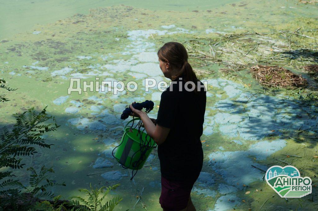 Куди дівся кисень у водах Дніпропетровщини?
