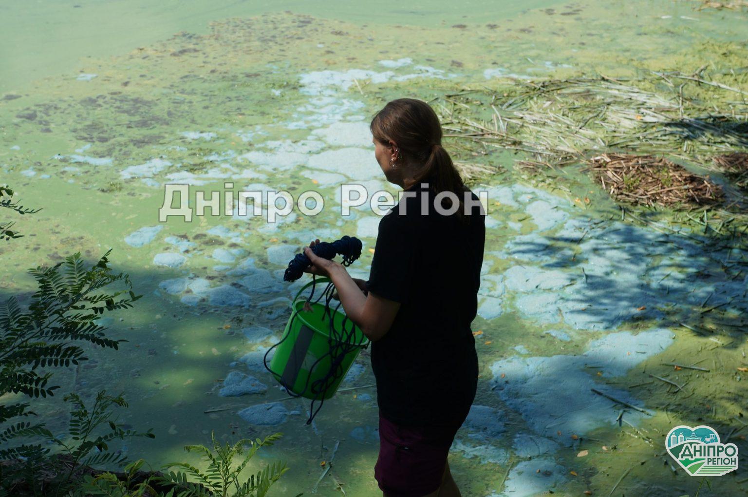 У річці Дніпро спостерігається активне цвітіння води Куди дівся кисень у водах Дніпропетровщини?