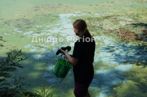 У річці Дніпро спостерігається активне цвітіння води