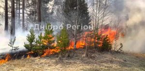 На Дніпропетровщині горять ліси: вигоріло понад 16,5 га
