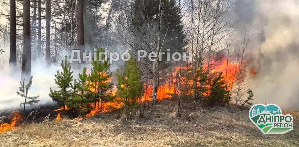 На Дніпропетровщині горять ліси: вигоріло понад 16,5 га На Дніпропетровщині горять ліси: вигоріло понад 16,5 га